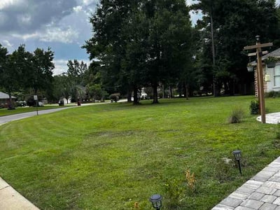 Lawn Care service in Miramar Beach, 32550