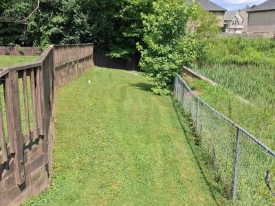 Lawn Care service in Central Point, 97502