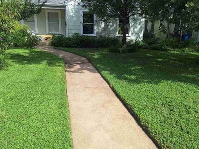 Lawn Care service in McAllen, 78504