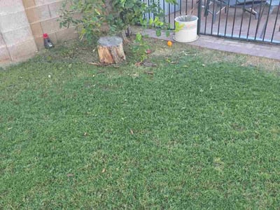 Lawn Care service in Vail, 85641