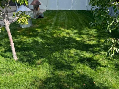 Lawn Care service in American Fork, 84003