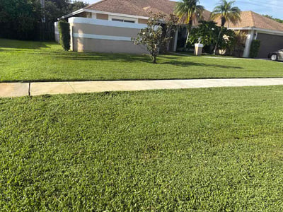 Lawn Care service in Wellington, 33414