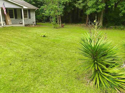 Lawn Care service in Griffin, 30224