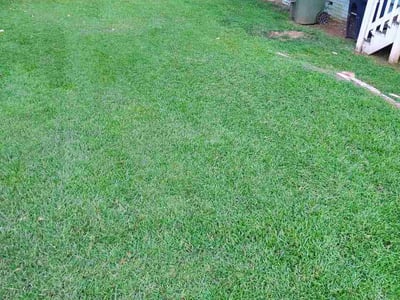 Lawn Care service in Griffin, 30224