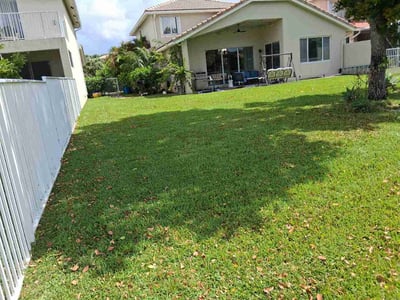 Lawn Care service in Royal Palm Beach, 33411