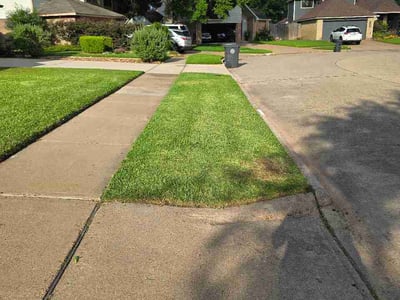 Lawn Care service in Sugar Land, 77479