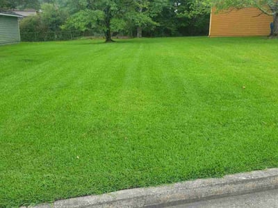 Lawn Care service in College Park, 30337