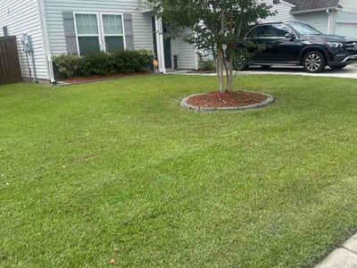 Lawn Care service in Moncks Corner, 29461