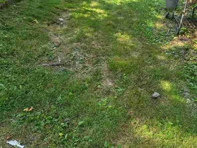 Lawn Care service in South Park, 15129