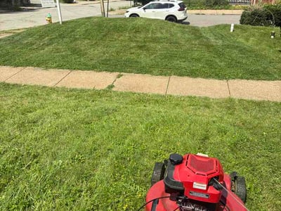 Lawn Care service in South Park, 15129