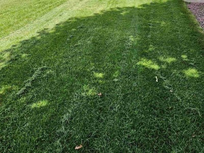 Lawn Care service in Beloit, 53511