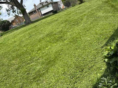 Lawn Care service in Monroeville, 15146