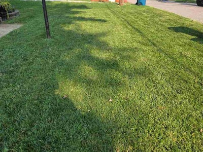 Lawn Care service in St Charles, 63301