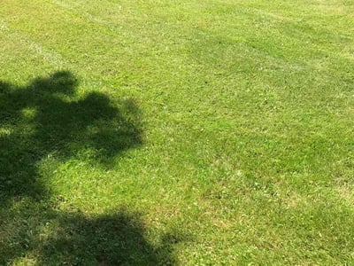 Lawn Care service in Fargo, 58102