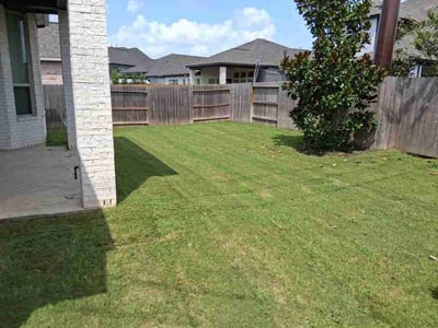 Lawn Care service in New Caney, 77357