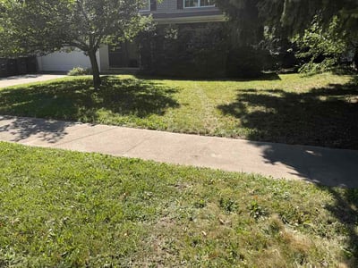 Lawn Care service in Janesville, 53545
