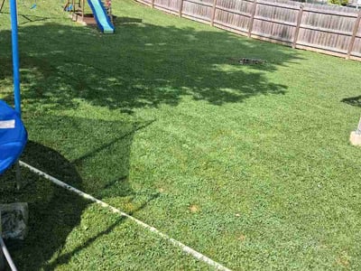 Lawn Care service in Festus, 63028