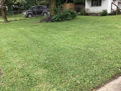 Lawn Care service in Palm Beach Gardens, 33410