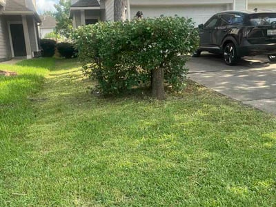 Lawn Care service in Fresno, 77545
