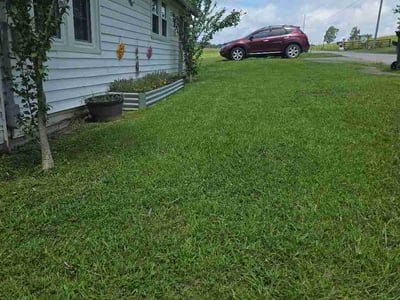 Lawn Care service in Johnson City, 37604