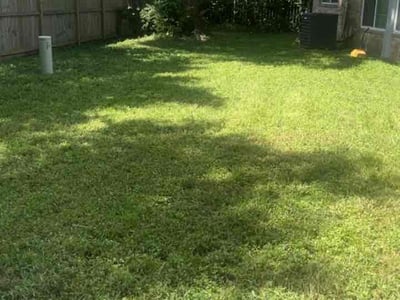 Lawn Care service in Fresno, 77545