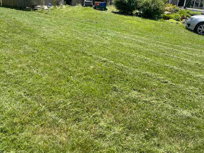 Lawn Care service in Tarentum, 15084