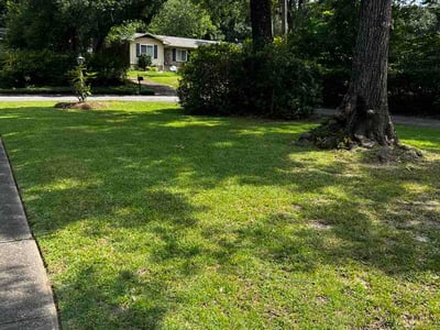 Lawn Care service in Foley, 36535