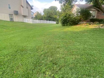 Lawn Care service in High Ridge, 63049