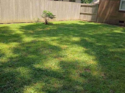 Lawn Care service in Johnson City, 37604