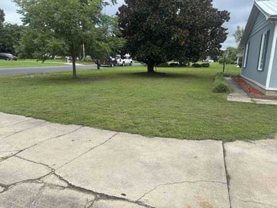 Lawn Care service in Hartsville, 29550