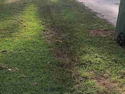 Lawn Care service in Hartsville, 29550