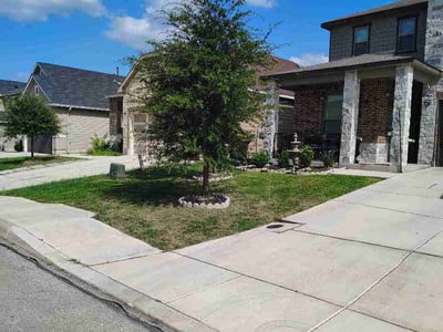 Lawn Care service in Converse, 78109