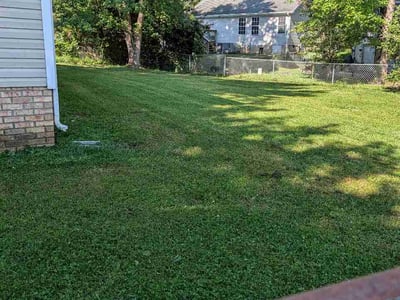 Lawn Care service in Johnson City, 37604