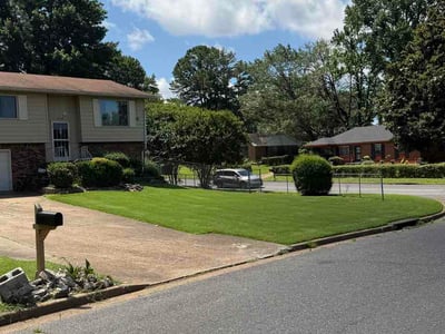 Lawn Care service in Johnson City, 37604