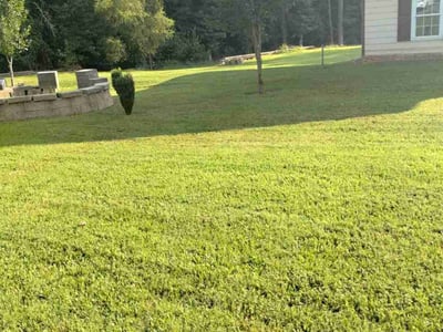 Lawn Care service in Buford, 30518