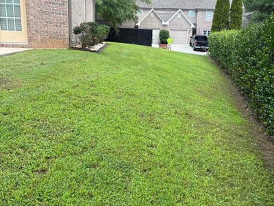Lawn Care service in Fairfield, 35064