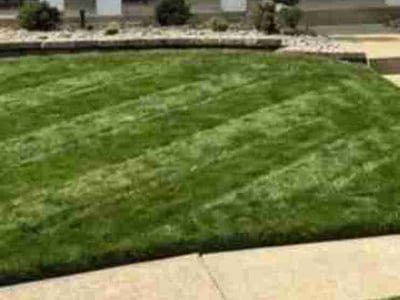 Lawn Care service in Chesterfield, 63017