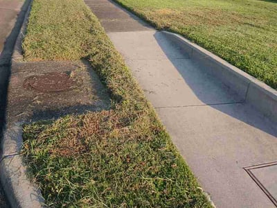 Lawn Care service in La Porte, 77571