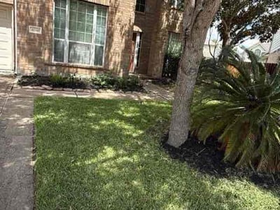 Lawn Care service in Deer Park, 77536