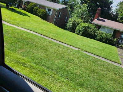 Lawn Care service in Radcliff, 40160