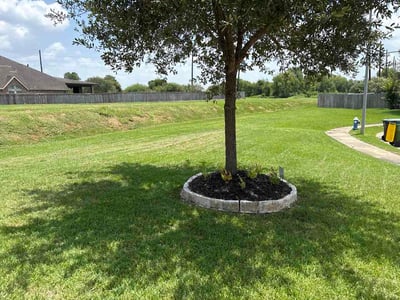 Lawn Care service in Galveston, 77550