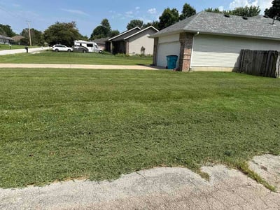 Lawn Care service in Bolivar, 65613