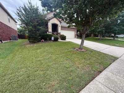 Lawn Care service in Seguin, 78155