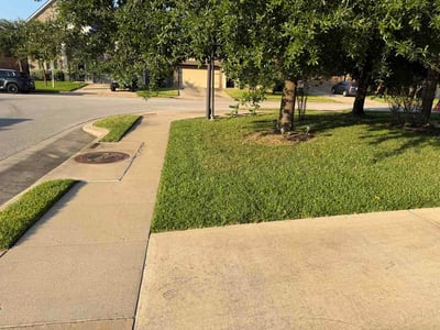 Lawn Care service in College Station, 77840
