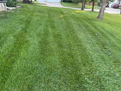 Lawn Care service in Parkville, 64152
