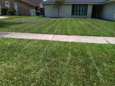 Lawn Care service in Seabrook, 77586