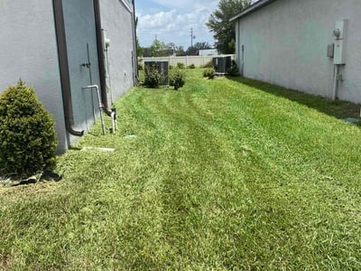 Lawn Care service in Lithia, 33547