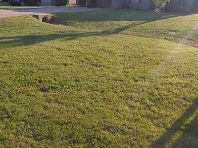 Lawn Care service in Toney, 35773