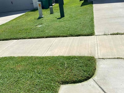 Lawn Care service in Montgomery, 77316