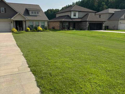 Lawn Care service in Toney, 35773